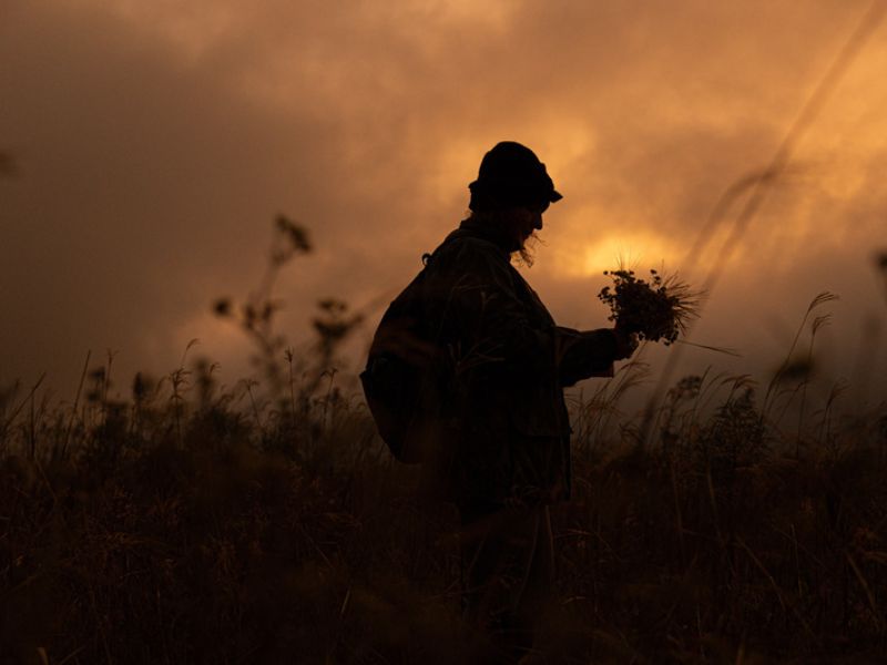 Parques dos Campos Gerais