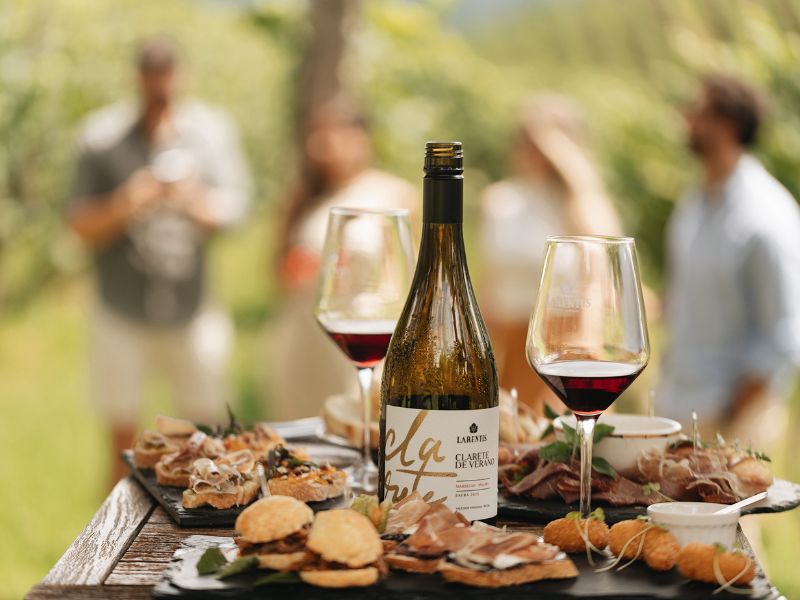 Bangalôs nos vinhedos da Larentis