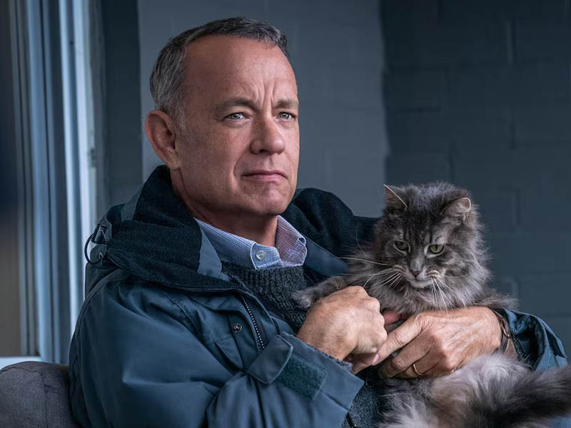 tom hanks